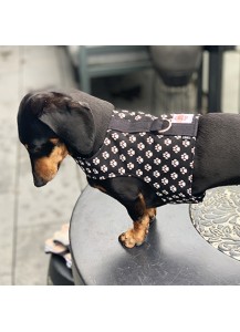 Easyfit Dog Harness - Size S